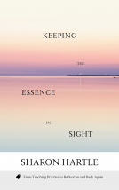 book cover for Keeping the Essence in Sight