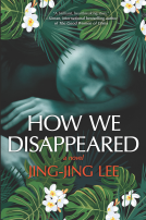 book cover for How We Disappeared