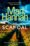 Cover Image: The Scandal