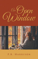 book cover for An Open Window