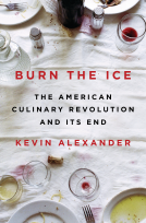 book cover for Burn the Ice