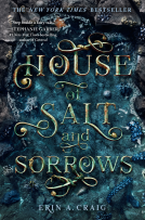 book cover for House of Salt and Sorrows
