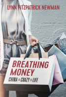 book cover for Breathing Money