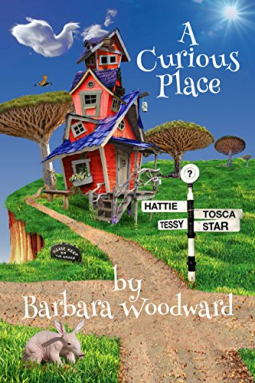 book cover for A Curious Place