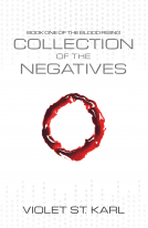 book cover for Collection of The Negatives