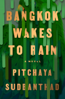 book cover for Bangkok Wakes to Rain