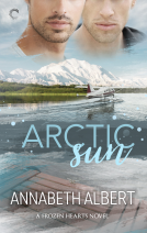 book cover for Arctic Sun