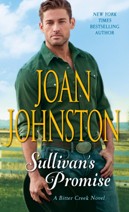 book cover for Sullivan's Promise