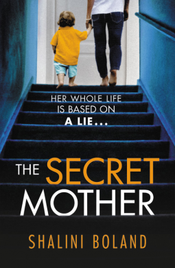 book cover for The Secret Mother
