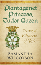 book cover for Plantagenet Princess, Tudor Queen