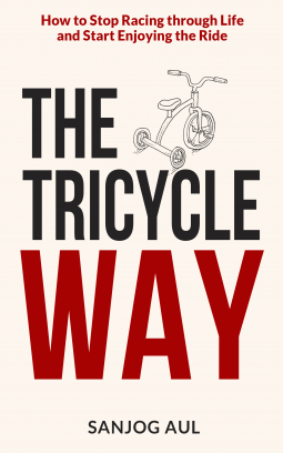 book cover for The Tricycle Way