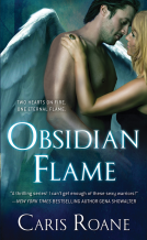book cover for Obsidian Flame