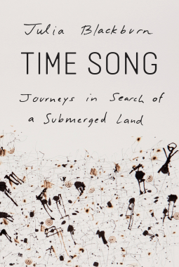 book cover for Time Song