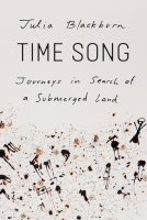 book cover for Time Song