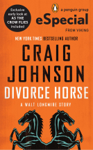 book cover for Divorce Horse