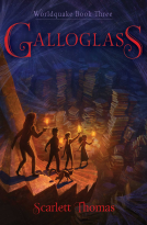 book cover for Galloglass