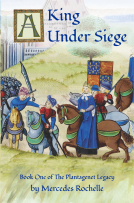 book cover for A King Under Siege