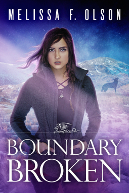book cover for Boundary Broken