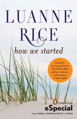 book cover for How We Started