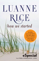 book cover for How We Started