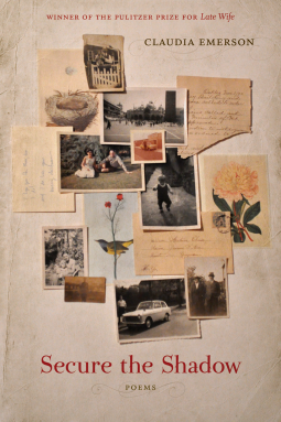 book cover for Secure the Shadow
