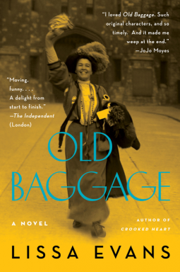 book cover for Old Baggage