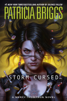book cover for Storm Cursed
