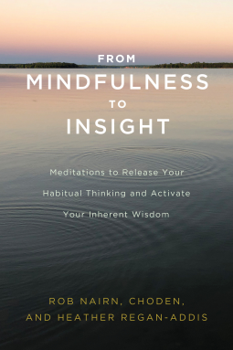 book cover for From Mindfulness to Insight