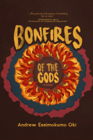 book cover for Bonfires of the gods