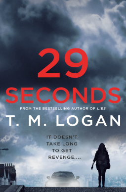 book cover for 29 Seconds