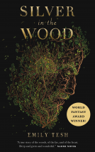 book cover for Silver in the Wood