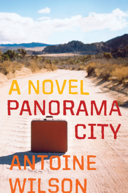 book cover for Panorama City