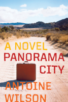 book cover for Panorama City