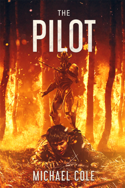 book cover for The Pilot