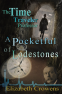 Cover Image: The Time Traveler Professor, Book Two: A Pocketful of Lodestones