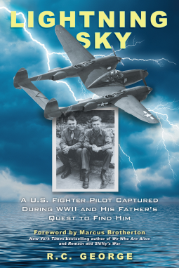 book cover for Lightning Sky
