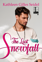 book cover for The Last Snowfall