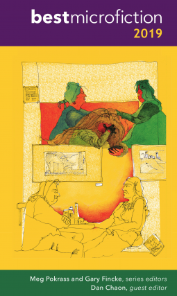 book cover for Best Microfiction 2019