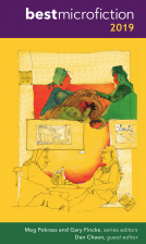 book cover for Best Microfiction 2019