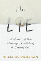 book cover for The Lie