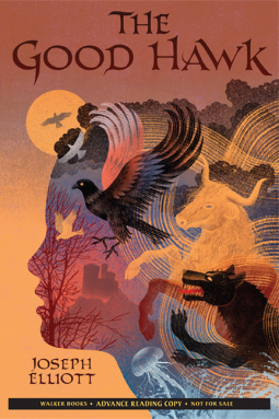 book cover for The Good Hawk (Shadow Skye, Book One)