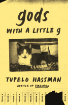 book cover for gods with a little g