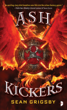 book cover for Ash Kickers