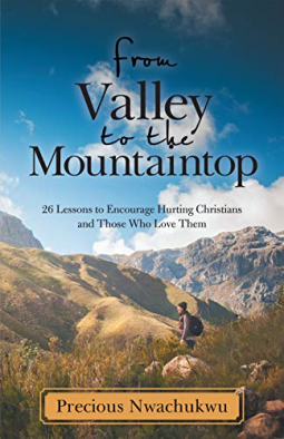 book cover for From Valley to the Mountaintop