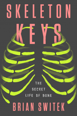 book cover for Skeleton Keys