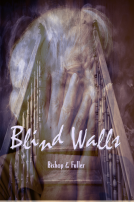 book cover for Blind Walls