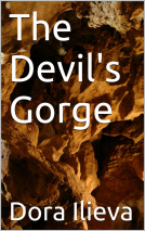 book cover for The Devil's Gorge