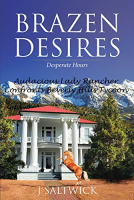 book cover for Brazen Desires: Desperate Hours
