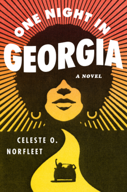 book cover for One Night in Georgia