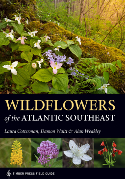book cover for Wildflowers of the Atlantic Southeast